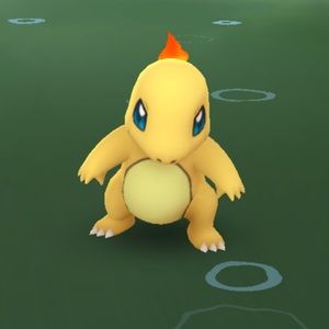 Meet your Posher, Dylan